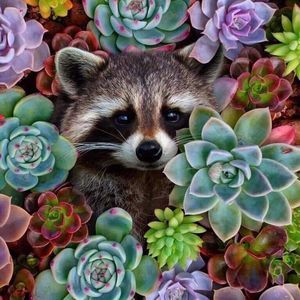 Meet your Posher, Leah